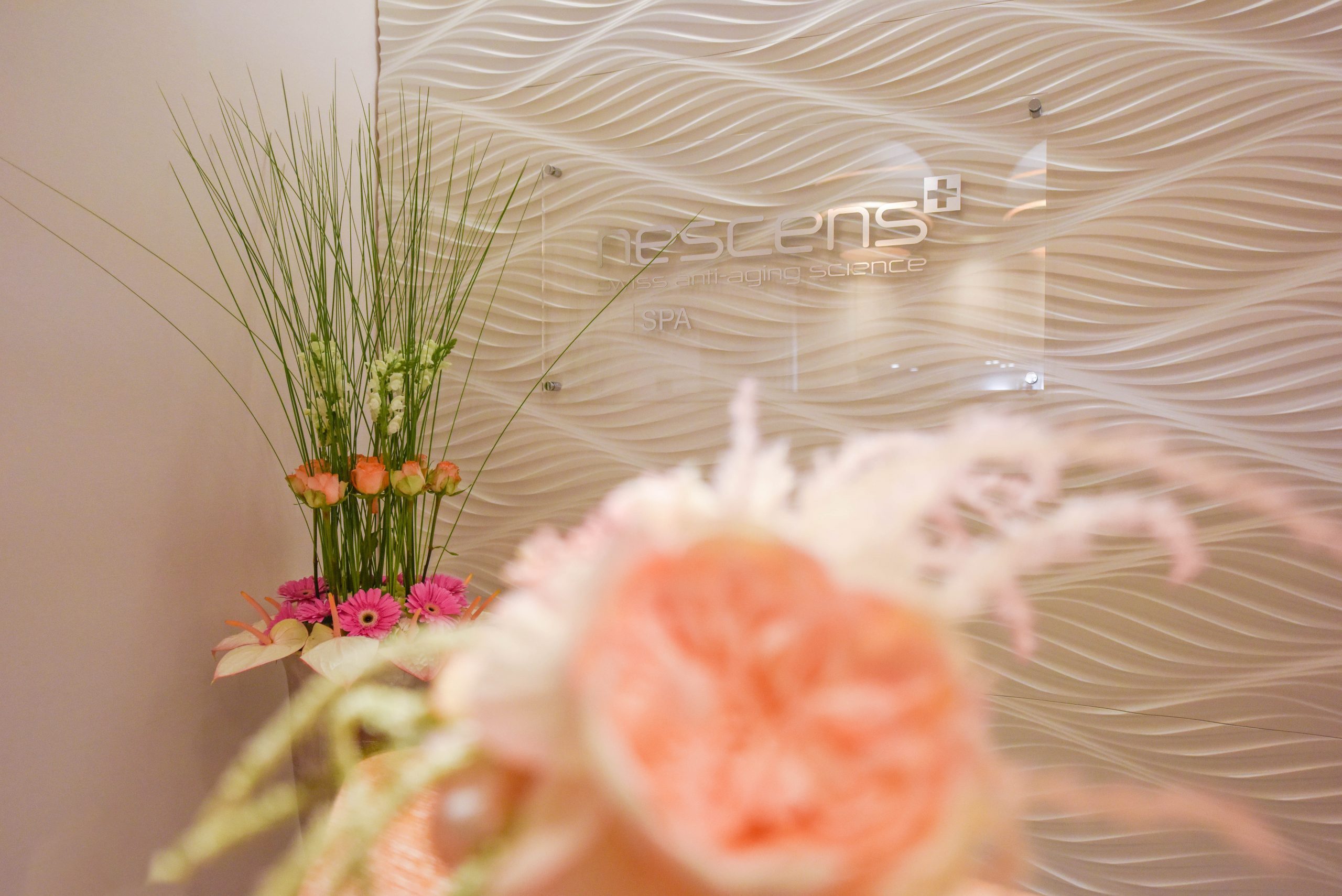 day spa schwarzwald hotel