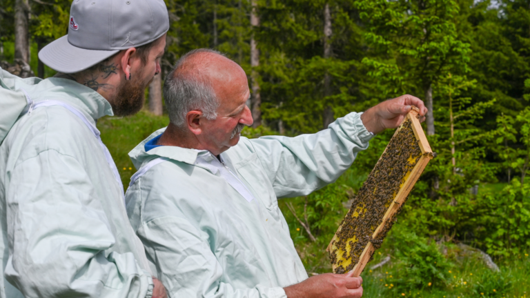 Die Welt der Bienen