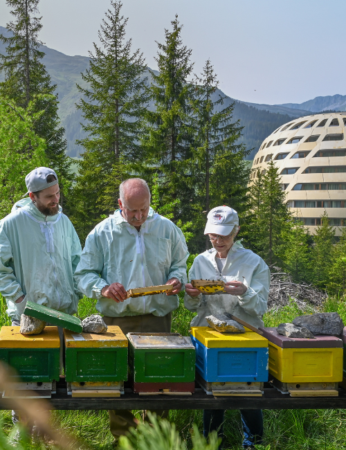 AlpenGold Bienen