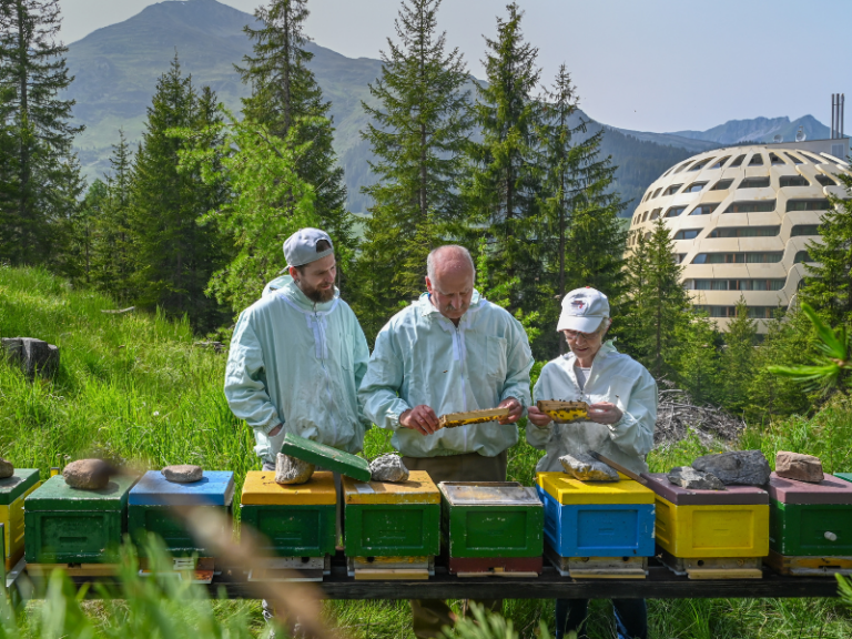 AlpenGold Bienen